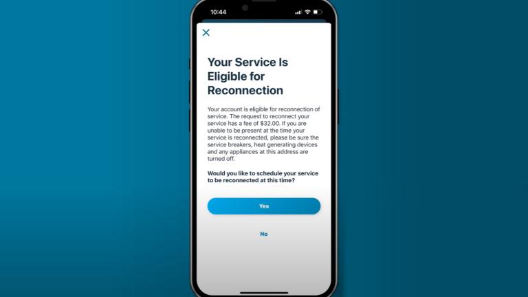 screenshot of reconnection on mobile app